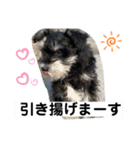 なるたん会話（個別スタンプ：14）