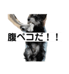 なるたん会話（個別スタンプ：16）
