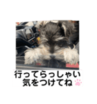 なるたん会話（個別スタンプ：17）