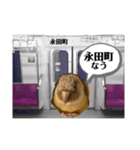半蔵門線を利用される貴方へ、ウロコインコ（個別スタンプ：6）