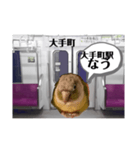 半蔵門線を利用される貴方へ、ウロコインコ（個別スタンプ：10）