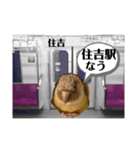 半蔵門線を利用される貴方へ、ウロコインコ（個別スタンプ：14）