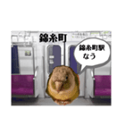 半蔵門線を利用される貴方へ、ウロコインコ（個別スタンプ：15）