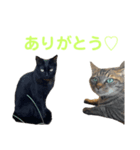 カール＆クレヨンの毎日（個別スタンプ：3）