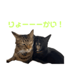 カール＆クレヨンの毎日（個別スタンプ：4）