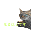 カール＆クレヨンの毎日（個別スタンプ：6）