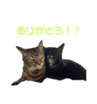 カール＆クレヨンの毎日（個別スタンプ：8）