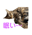 カール＆クレヨンの毎日（個別スタンプ：12）