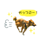 雑種犬のすら君（個別スタンプ：14）