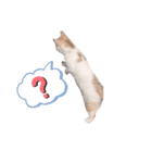 ジジ Part.4（個別スタンプ：4）