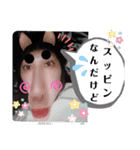 あんまり使えないスタンプw（個別スタンプ：1）