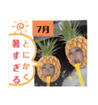 あんまり使えないスタンプw（個別スタンプ：15）