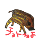 あした、行く？（個別スタンプ：5）
