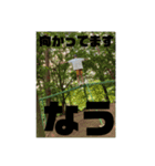 何かしらの日常②（個別スタンプ：13）
