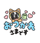 ボストンテリアのキュートなスタンプ(日常)（個別スタンプ：1）