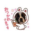 ボストンテリアのキュートなスタンプ(日常)（個別スタンプ：4）