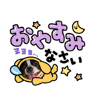 ボストンテリアのキュートなスタンプ(日常)（個別スタンプ：7）