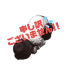 とーたんの日常（個別スタンプ：4）