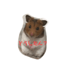 はむスタ〜（個別スタンプ：1）