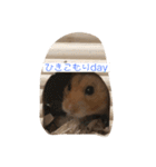 はむスタ〜（個別スタンプ：3）