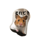 はむスタ〜（個別スタンプ：10）