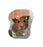 はむスタ〜（個別スタンプ：14）
