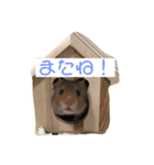 はむスタ〜（個別スタンプ：16）