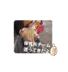 はづりおゆず（個別スタンプ：3）