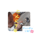 はづりおゆず（個別スタンプ：16）