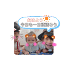 はづりおゆず（個別スタンプ：17）