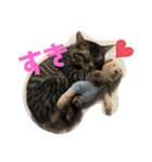 松本家のゆかいな猫たち（個別スタンプ：22）