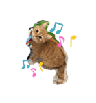 松本家のゆかいな猫たち（個別スタンプ：25）