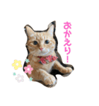 松本家のゆかいな猫たち（個別スタンプ：35）