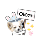 ゴージカスな癒やしのメッセージスタンプ（個別スタンプ：1）