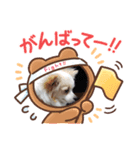 ゴージカスな癒やしのメッセージスタンプ（個別スタンプ：4）