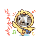 ゴージカスな癒やしのメッセージスタンプ（個別スタンプ：5）
