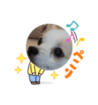 ゴージカスな癒やしのメッセージスタンプ（個別スタンプ：7）