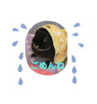 うさパンちゃん（個別スタンプ：5）