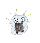 ねこぴとペットのうに丸。（個別スタンプ：8）
