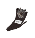 ねこぴとペットのうに丸。（個別スタンプ：11）