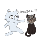 ねこぴとペットのうに丸。（個別スタンプ：12）