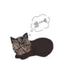 ねこぴとペットのうに丸。（個別スタンプ：14）