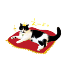 猫のハムスケ_Vo.1（個別スタンプ：4）