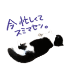 猫のハムスケ_Vo.1（個別スタンプ：30）