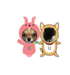うさみ＆バリー（個別スタンプ：5）