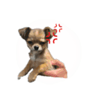 うさみ＆バリー（個別スタンプ：6）
