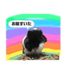 うさみ＆バリー（個別スタンプ：9）