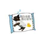 うさみ＆バリー（個別スタンプ：15）