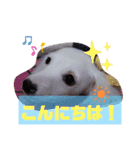Latteくん挨拶（個別スタンプ：2）