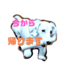 Latteくん挨拶（個別スタンプ：6）